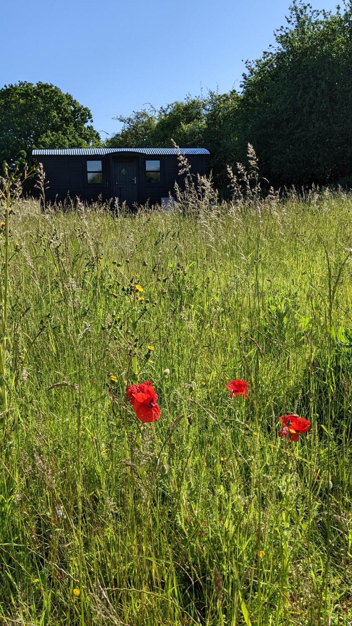 Hotel Blue Sky Huts Chediston Esterno foto